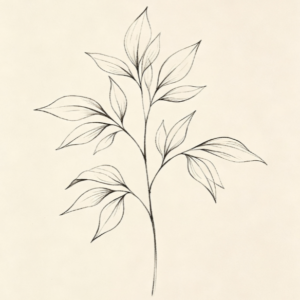 Minimalist Botanical Line Art